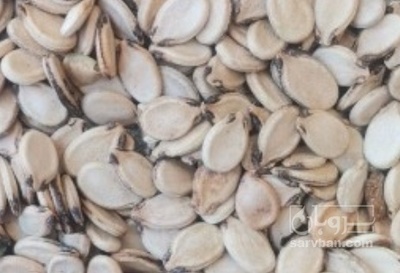 فروش تخمه هندوانه سنتی دو اتیشه