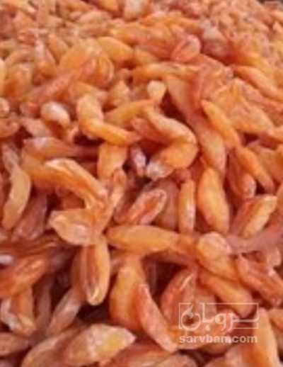 فروش  خلال آلو بخارا