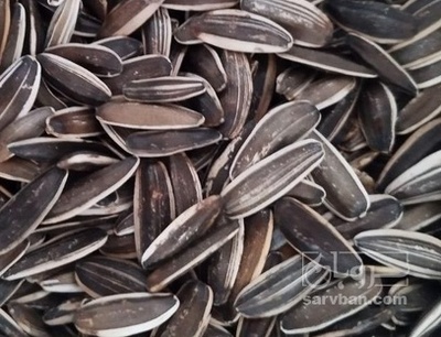 فروش تخمه s400