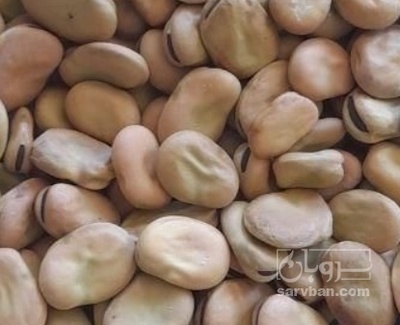 فروش باقلاخشک