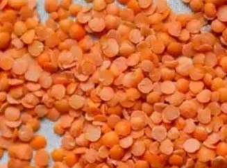 فروش  دال عدس