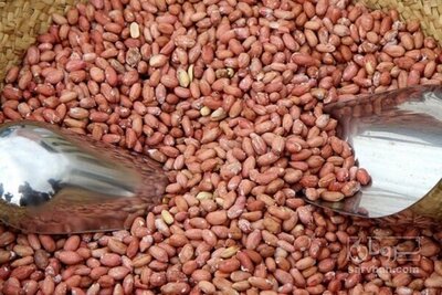 فروش بادام زمینی