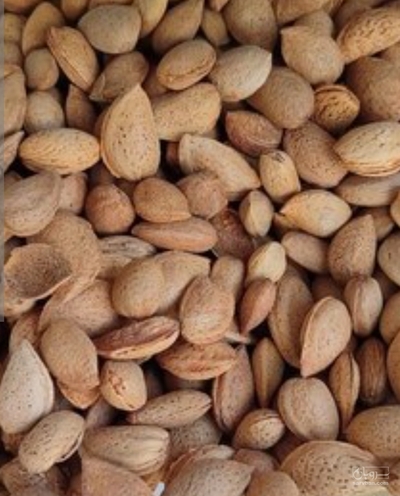 فروش بادام