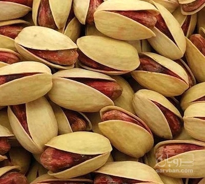 فروش پسته