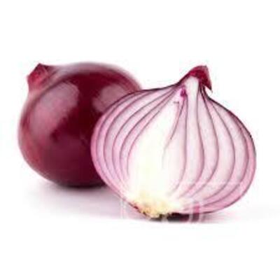 فروش پیازقرمز