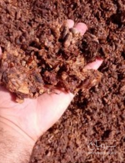 فروش  تفاله خرما