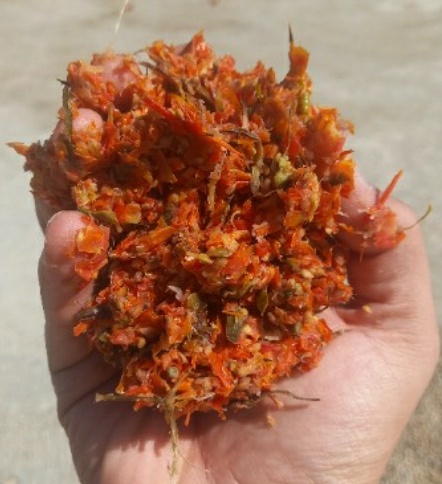 فروش  تفاله گوجه فرنگی
