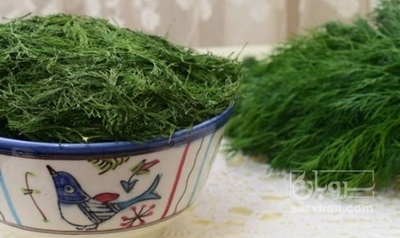 فروش شوید خشک (گیاه‌ دارویی)