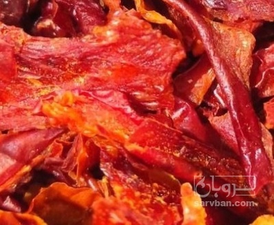 فروش فلفل پاپریکا