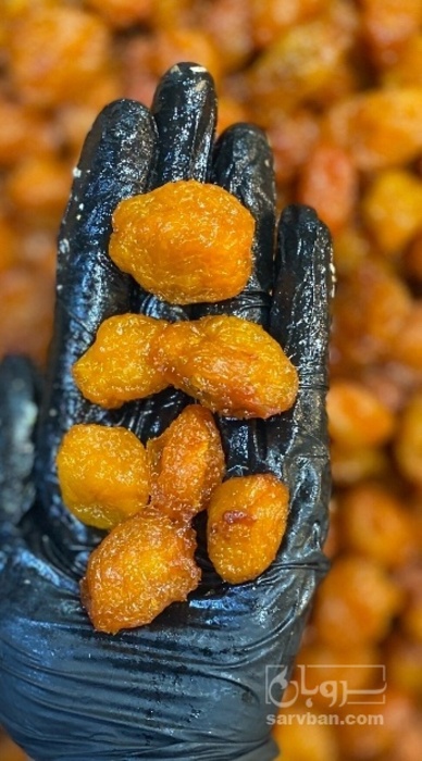 فروش آلو بخارا حاج حسنی