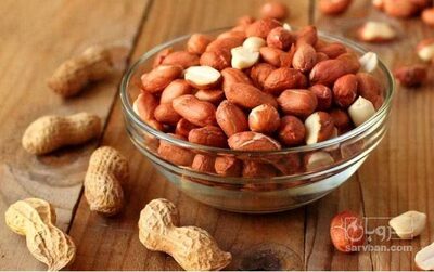 فروش بادام زمینی