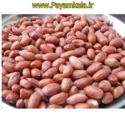 فروش بادام زمینی