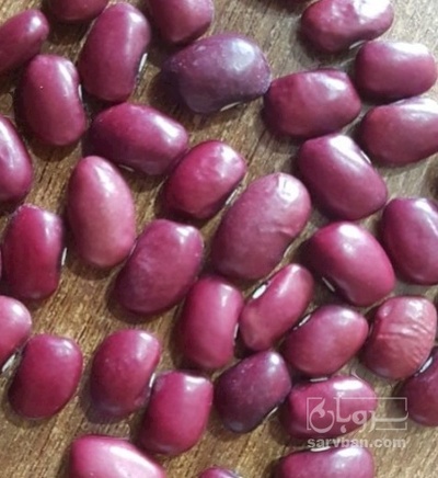 فروش لوبیا قرمز