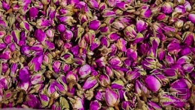 فروش غنچه گل محمدی (گیاه‌ دارویی)