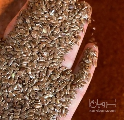 فروش کتان (گیاه الیافی)