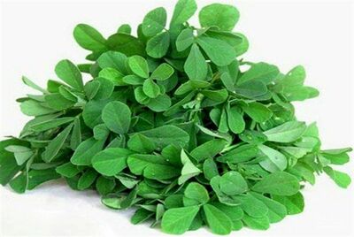 فروش شنبلیله