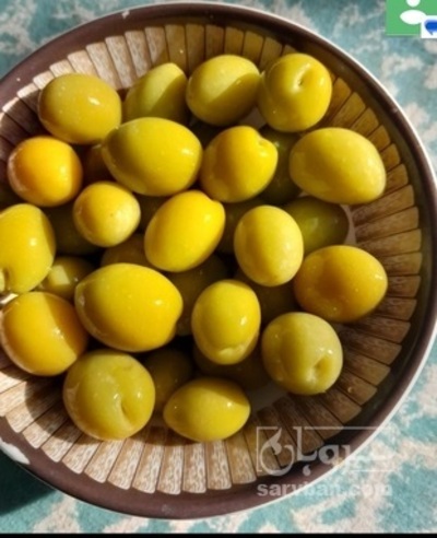 فروش زیتون شور