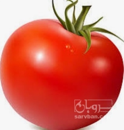 فروش گوجه فرنگی