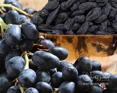 فروش مویز انگور سیاه