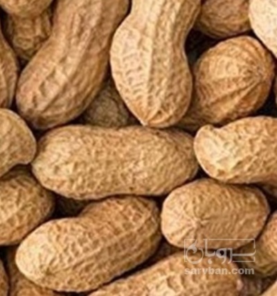فروش بادام زمینی با قلاف