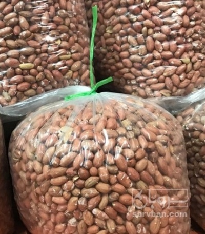 فروش بادام زمینی برشته صادراتی