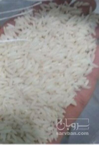 فروش برنج