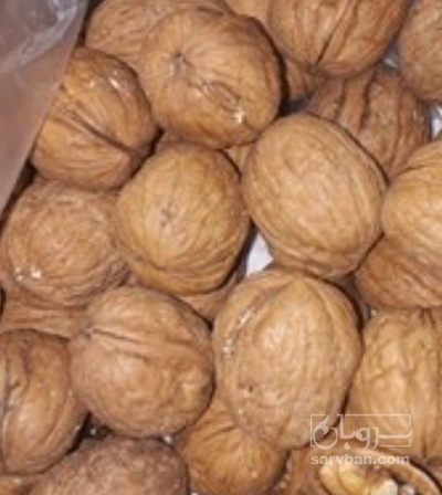 فروش  مغزگردو و گردو
