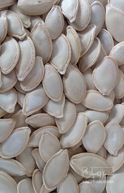 فروش تخمه  کدو