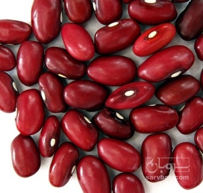 فروش لوبیا قرمز