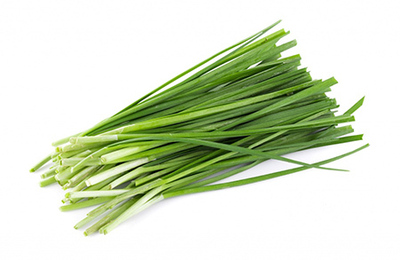 فروش پیازچه