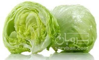 فروش کاهو ایسبرگ - آیسبرگ