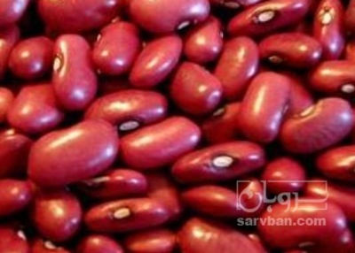 فروش لوبیا قرمز
