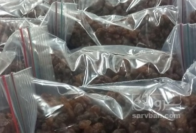 فروش کشمش زرد و قهوه ایی تیزابی