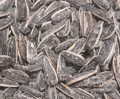 فروش تخمه آفتابگردان