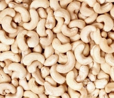 فروش بادام هندی بو داده