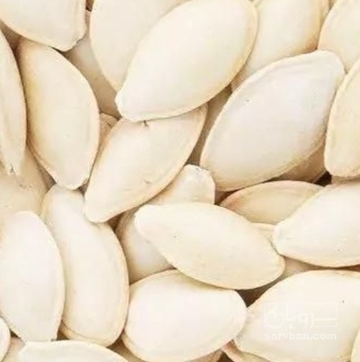 فروش تخمه  کدو