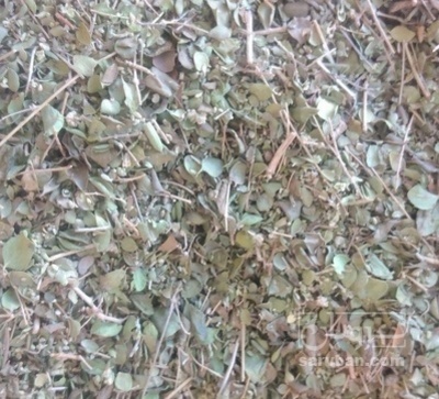 فروش آویشن خشک