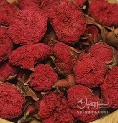 فروش گلنار فارسی ( گلانار ) (گیاه‌ دارویی)