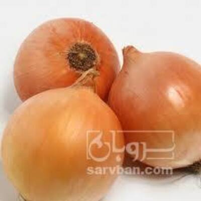 فروش پیاززرد