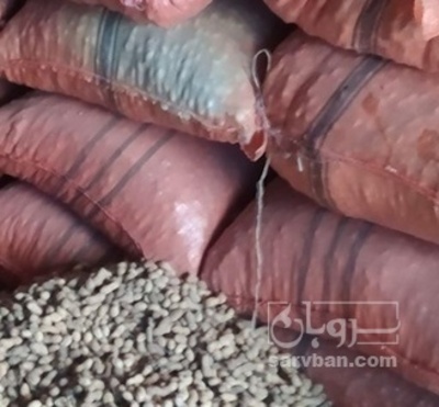 فروش بادام قلاف دار پارستالی