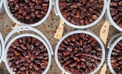 فروش خرما کبکاب