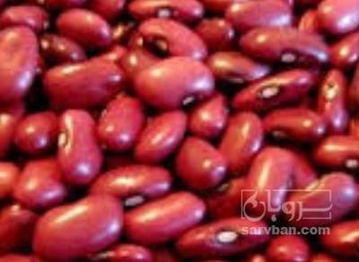 فروش لوبیا قرمز