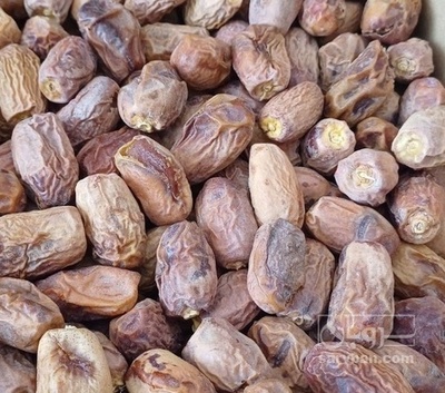 فروش خرما زاهدی