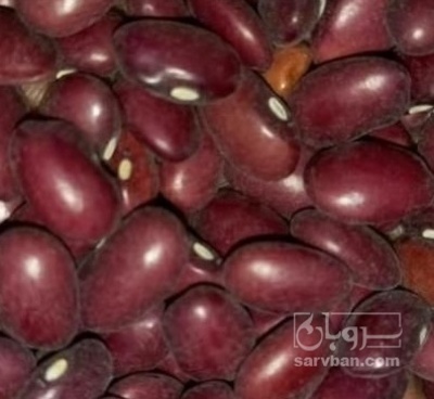 فروش لوبیا قرمز