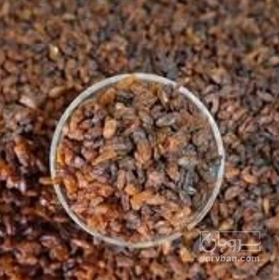 فروش کشمش بوانات