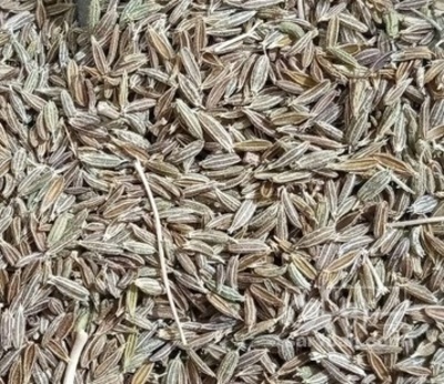 فروش زیره (گیاه‌ دارویی)