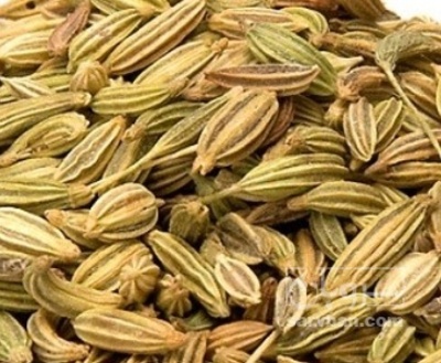 فروش رازیانه (گیاه‌ دارویی)