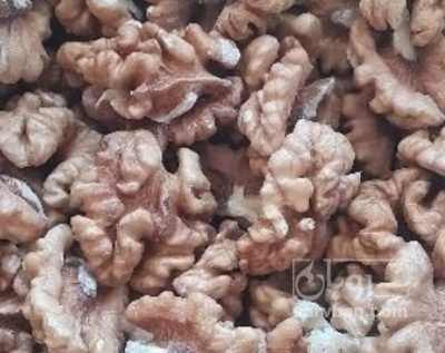 فروش مغز گردو