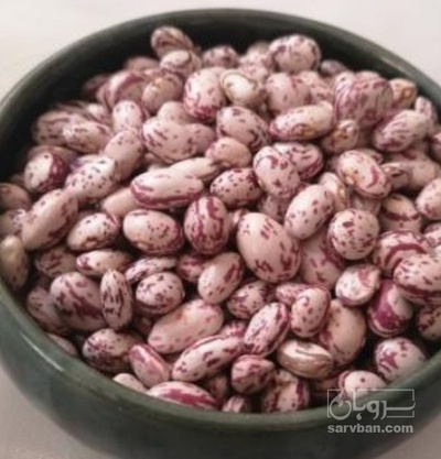 فروش لوبیا چیتی