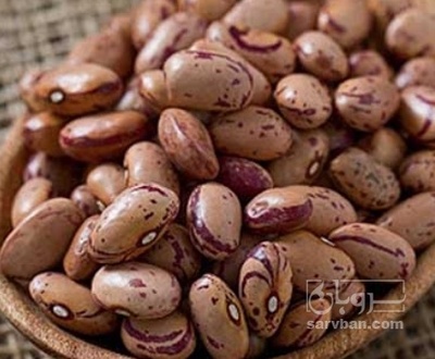 فروش لوبیا چیتی